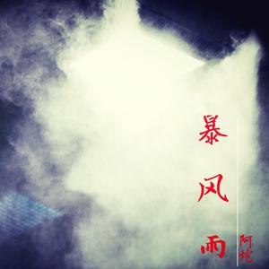 暴风雨（翻自 刘思达）