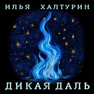 Разбойники