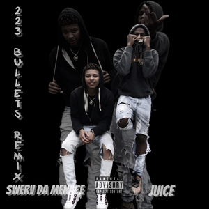 223 Bullets(Remix)