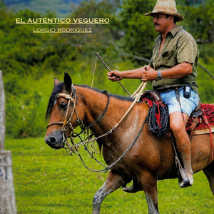 El Defensor del Joropo