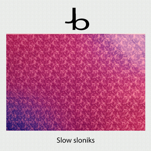 Slow Sloniks