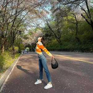 白羊（翻自 沈以诚）