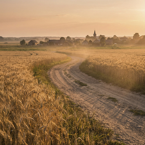 Мы всё время уходим из дома...