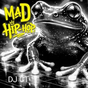 Mad Hip-hop (DJ CT 2026)