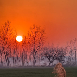 妹妹坐船头唢呐