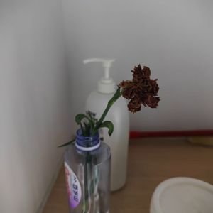 伤的碎片