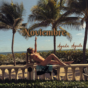 Noviembre