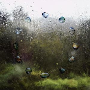 "My Friend The Forest" but you're betraying him by chilling on a dull beach