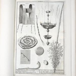 Hambarekh Et Shem Adomai