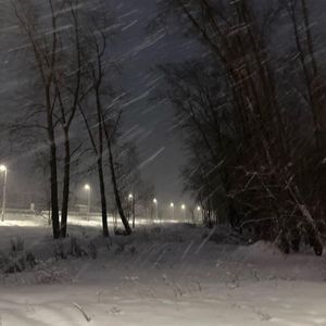 冬盐 (Winter Salt)