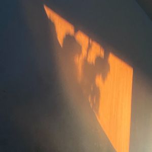 关于（Acoustic）