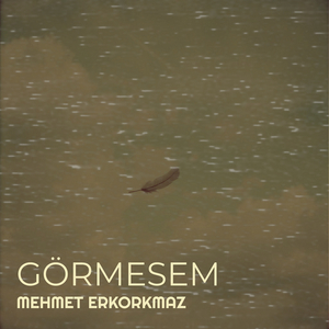 Görmesem