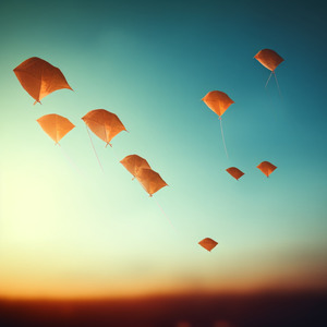 Kites in the Sky