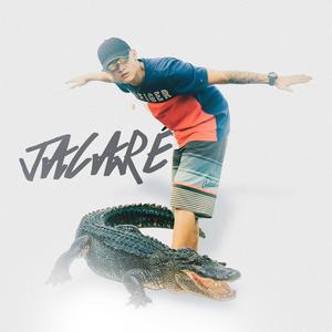Jacaré