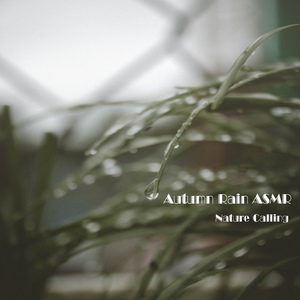 아침의 빗소리 ASMR