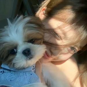 冰化了缘分就没了