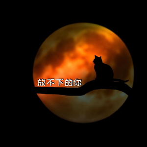 放不下的你 伴奏