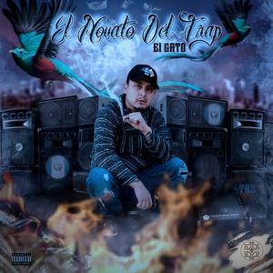 P.F.D. (feat. BEN BOH @ben.boh)