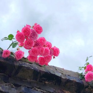 原谅年少