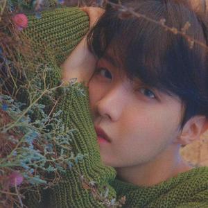 南边盛开殇之花