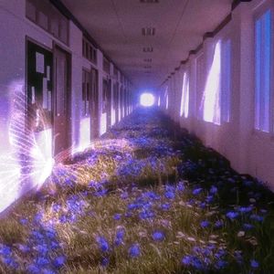 蝶梦 // BUTTERFLY DREAM - Vansdaddy x 梦幻 Type Beat