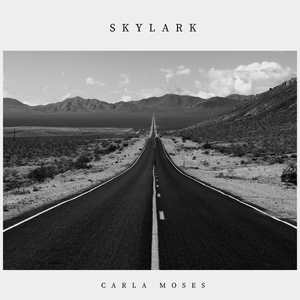 Skylark