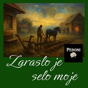 Zaraslo je selo moje