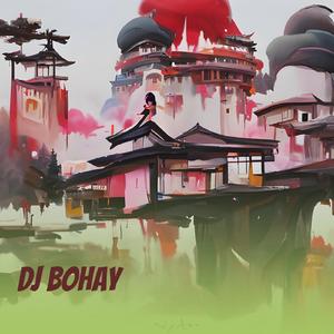 Dj Bohay
