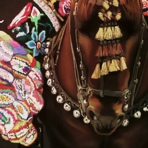 Pregón La Encamisa 2017 (En vivo de Fiestas San Antón 2017)