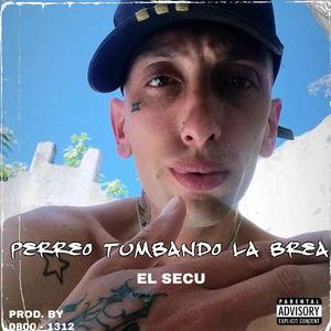 Tumbando la brea perreo