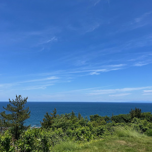 夏の午後