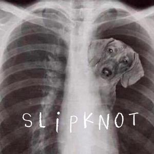 SlipNot