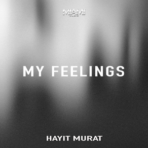 My Feelings