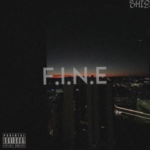 F.I.N.E