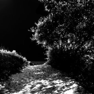 More Cowboy (Seba Campos Remix)