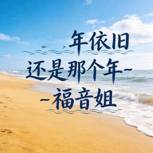 年依旧还是那个年 (DJ涵哈版)