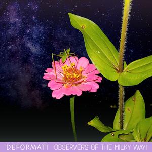 Observers of the Milky Way (Instrumental) (Instrumental)