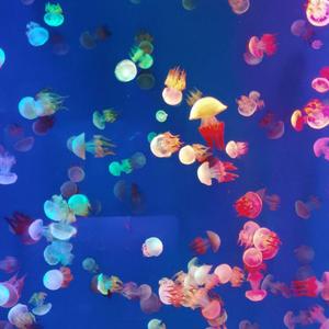 只是怕错过（Demo）