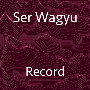Record (Radio Edit)