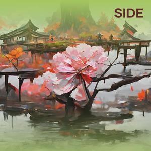 Side