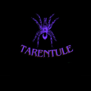 TARENTULE (Freestyle)