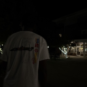 Fireflies