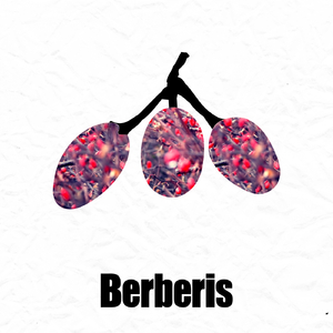 New State (Original Mix)