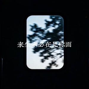 来生未必再见你面