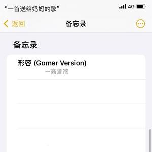 形容 (Gamer Version)