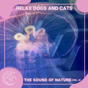 차갑고 차분한 (Nature Edit)