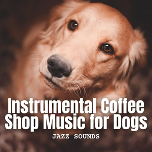 Instrumental Whiffs and Jazzed Paws