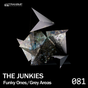 Funky Ones (Original Mix)