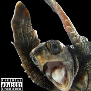 To Be a Baby Seaturtle (The Art of Adulting from the Sand to the Sea)