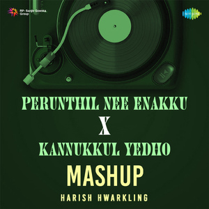 Perunthil Nee Enakku X Kannukkul Yedho - Mashup